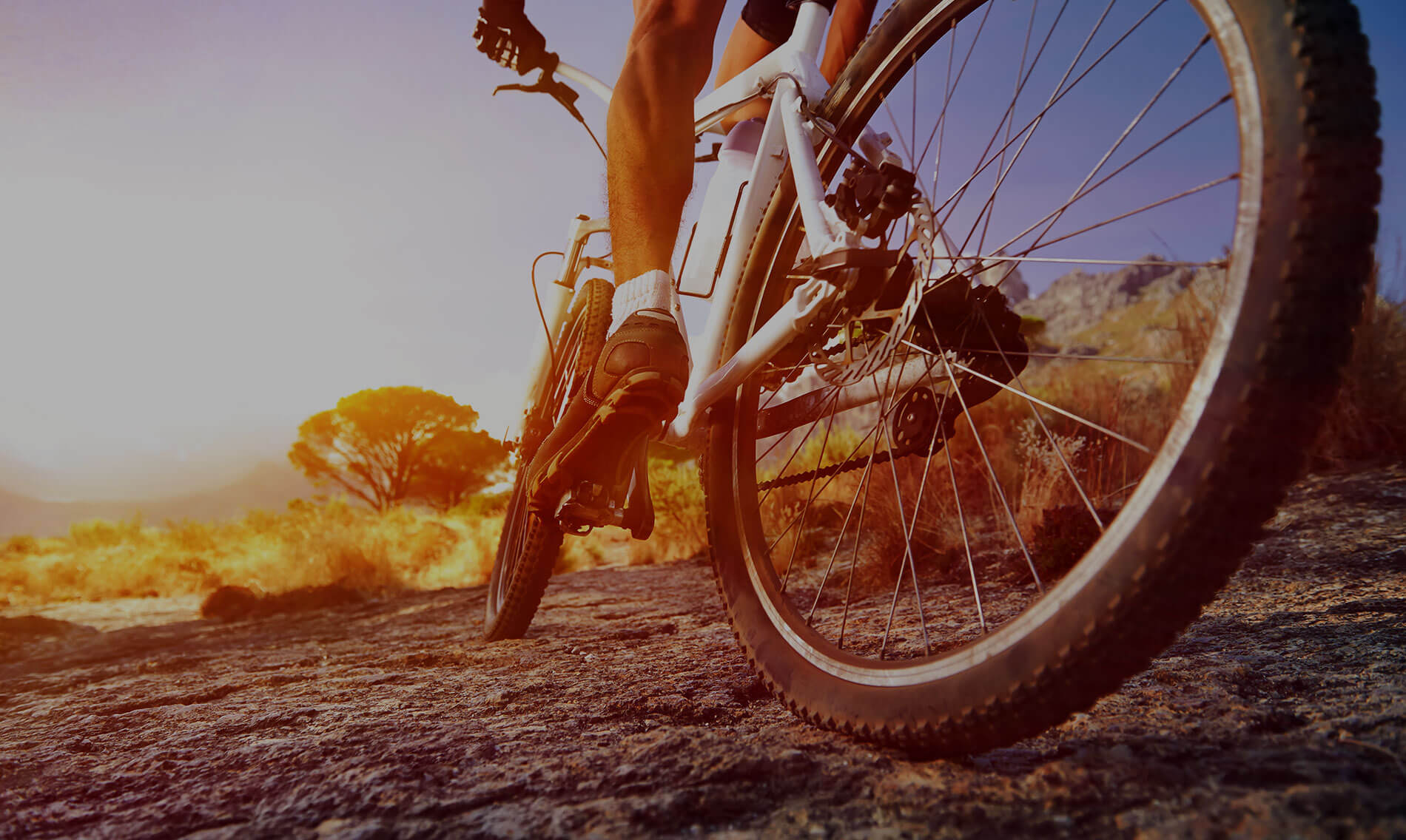 Bicycle-Sports-Injury-Insurance